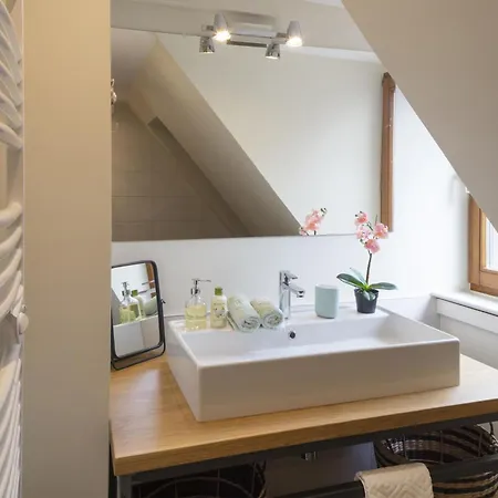 Les Du Retable شقة كولمار