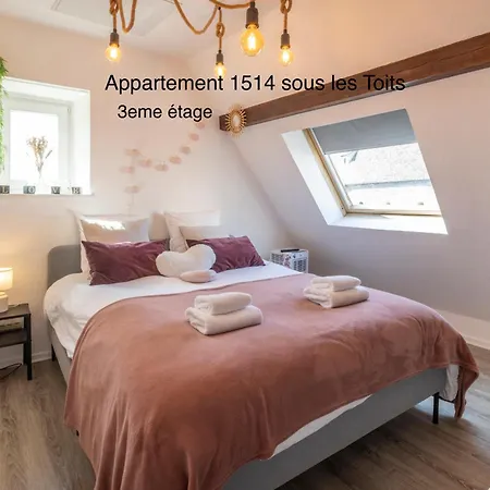 Apartamento Les Du Retable Colmar